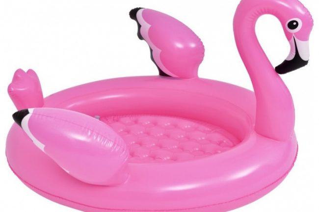 Zwembad Flamingo